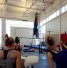 gymbacks gymbacks