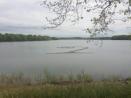 wetlandspiral wetlandspiral